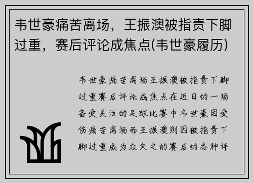 韦世豪痛苦离场，王振澳被指责下脚过重，赛后评论成焦点(韦世豪履历)