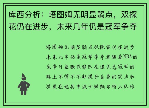 库西分析：塔图姆无明显弱点，双探花仍在进步，未来几年仍是冠军争夺者