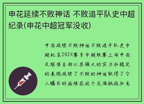 申花延续不败神话 不败追平队史中超纪录(申花中超冠军没收)