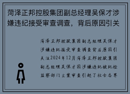 菏泽正邦控股集团副总经理吴保才涉嫌违纪接受审查调查，背后原因引关注